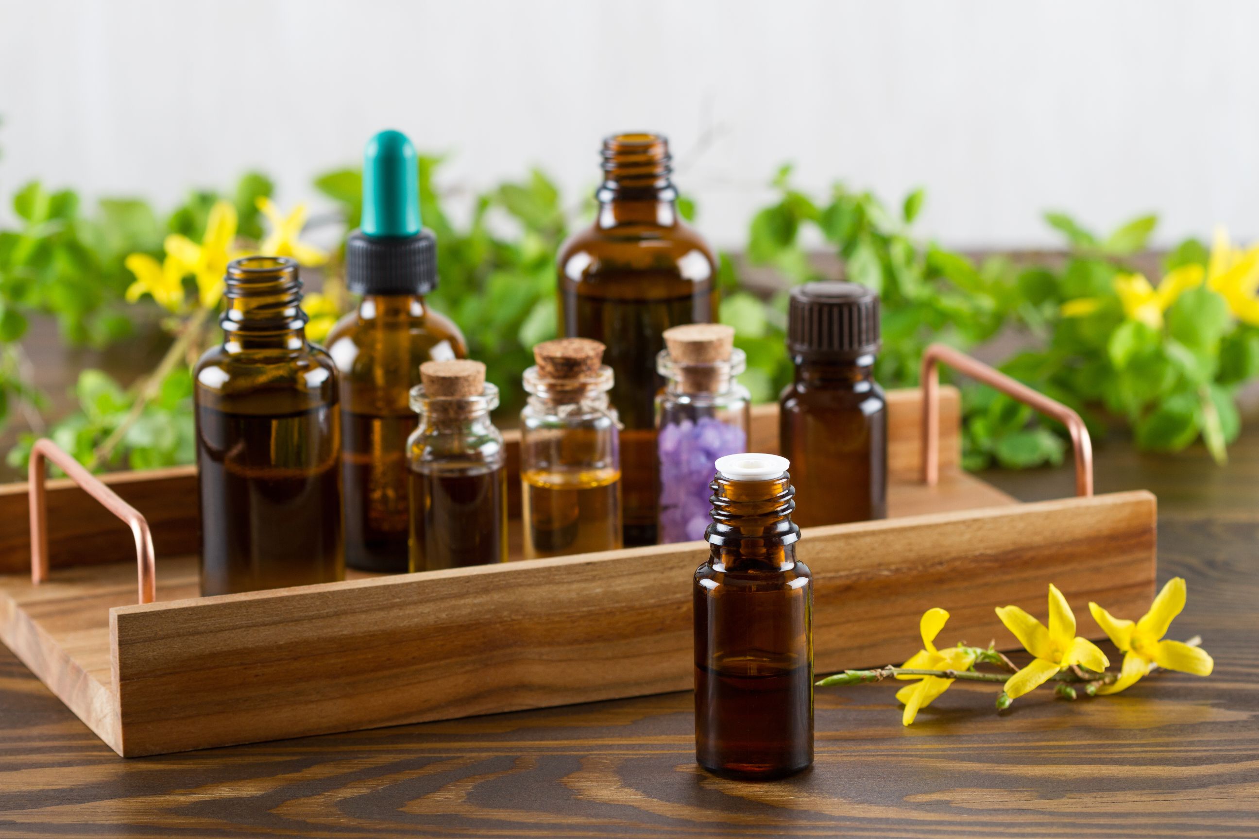 Aromatherapy & Essential Oils. 
